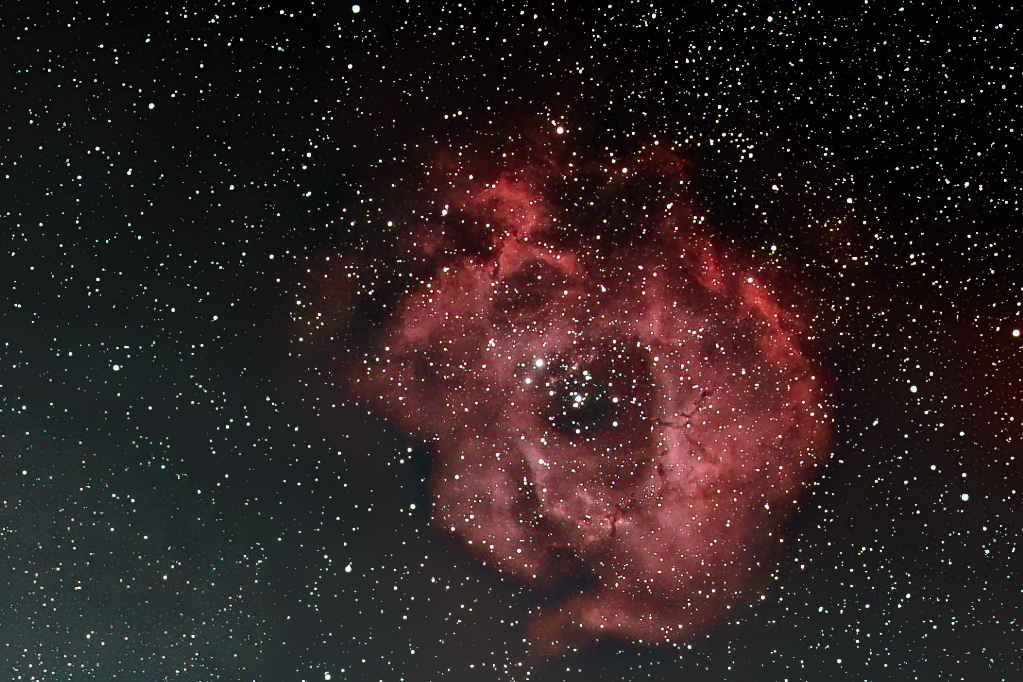 Rosetten Nebel NGC 2244